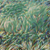 Verde, 1960